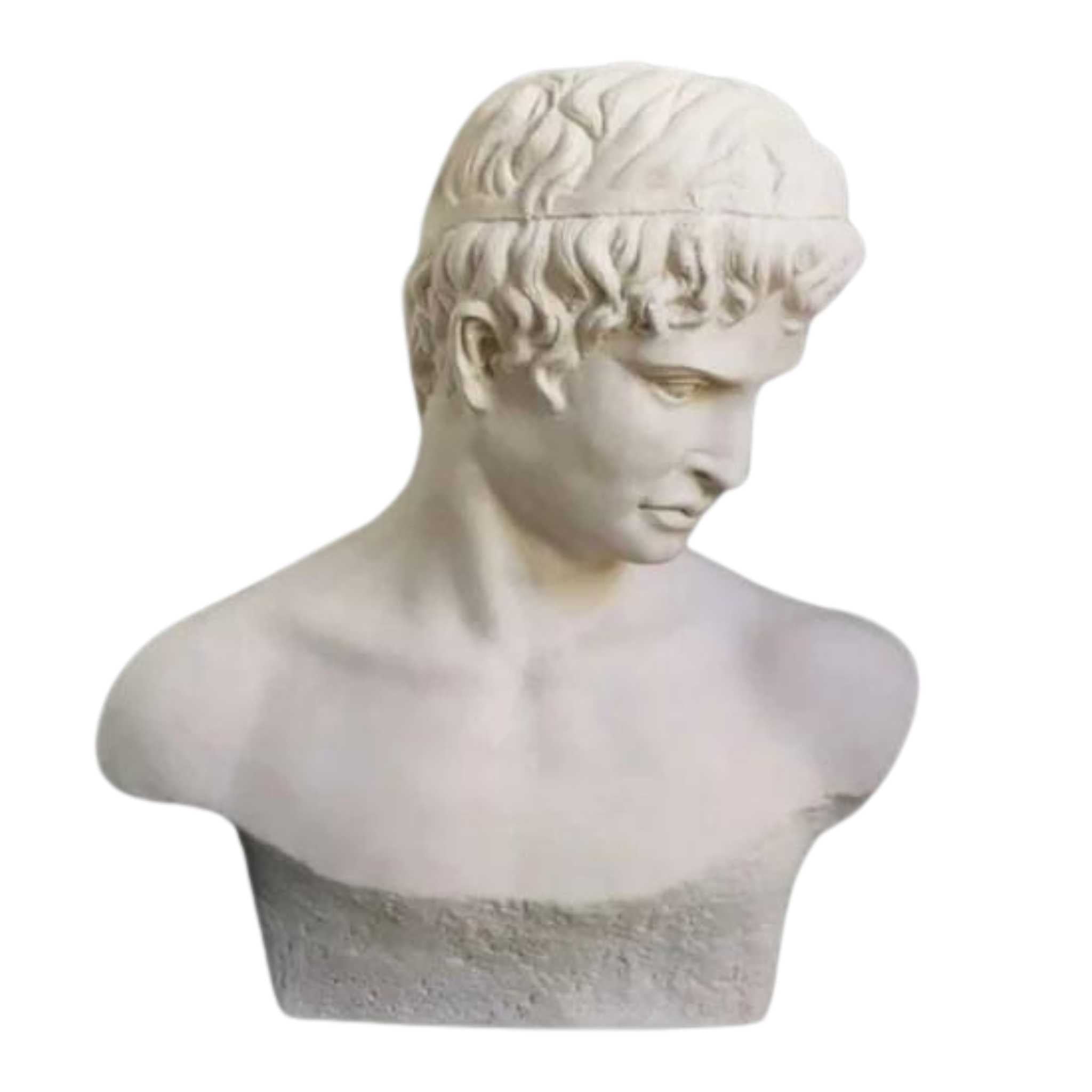 atticus bust