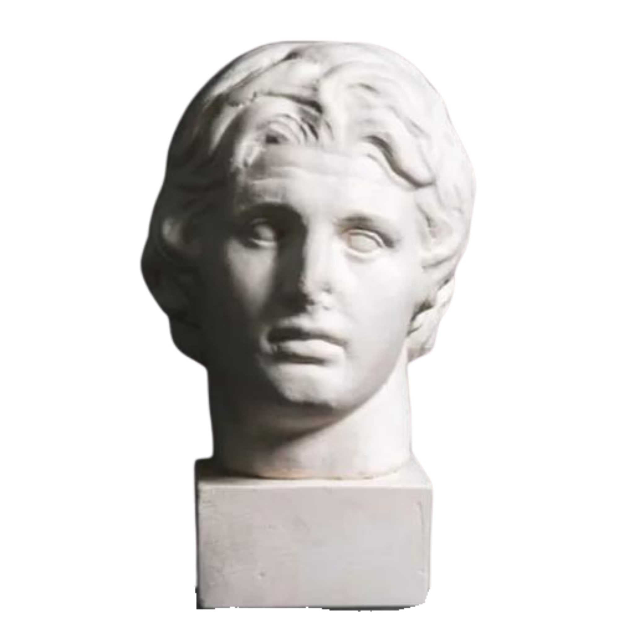 Alexendar the great bust