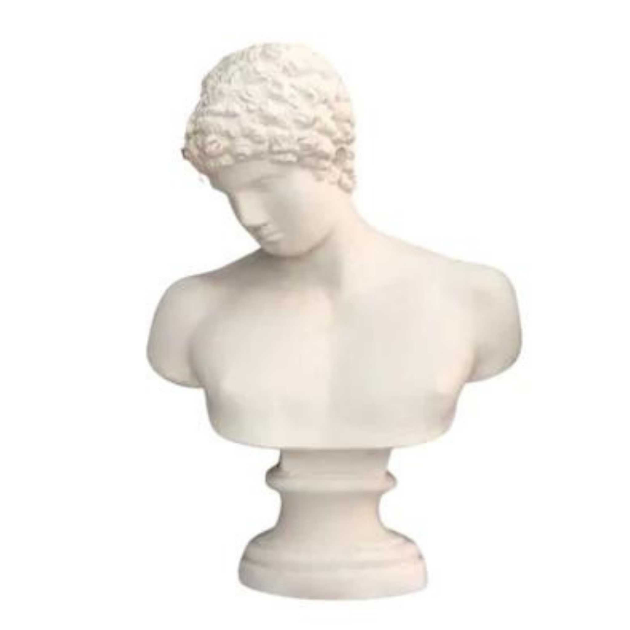 Greek God Antinous Bust