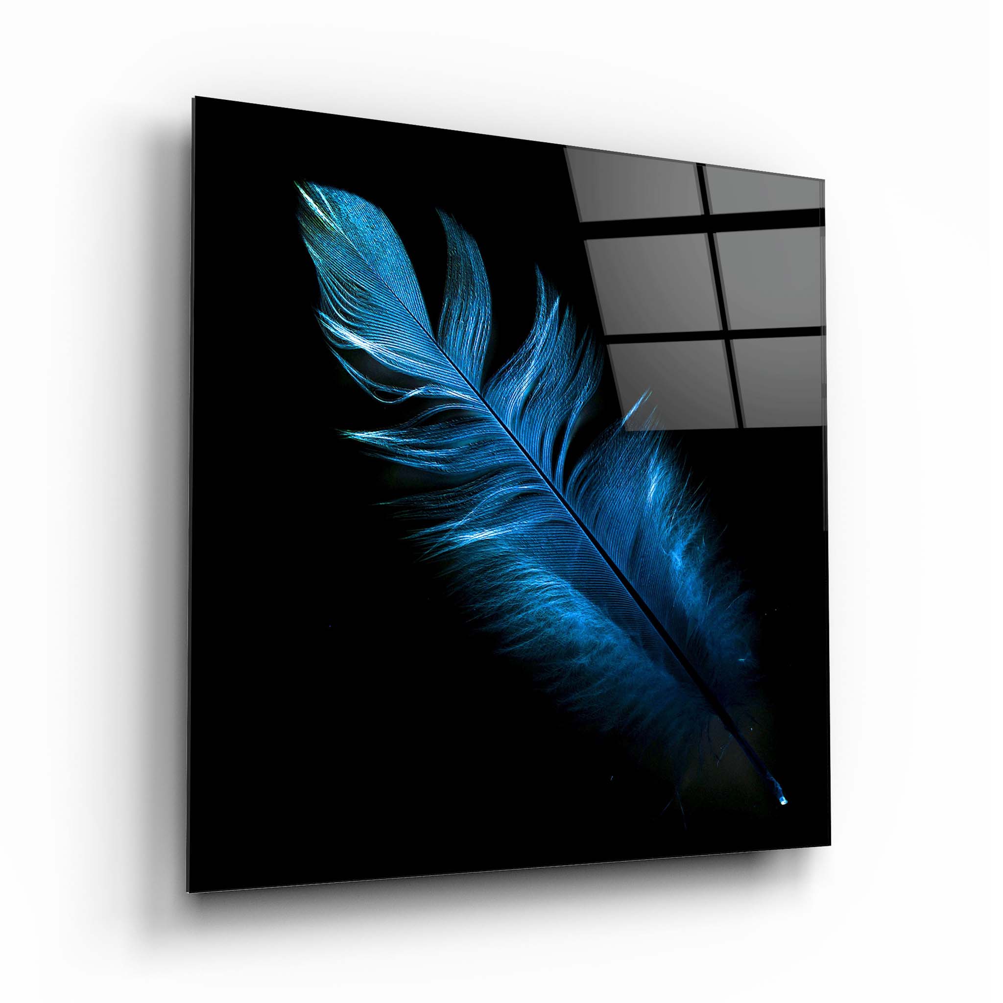 feather glass wall art