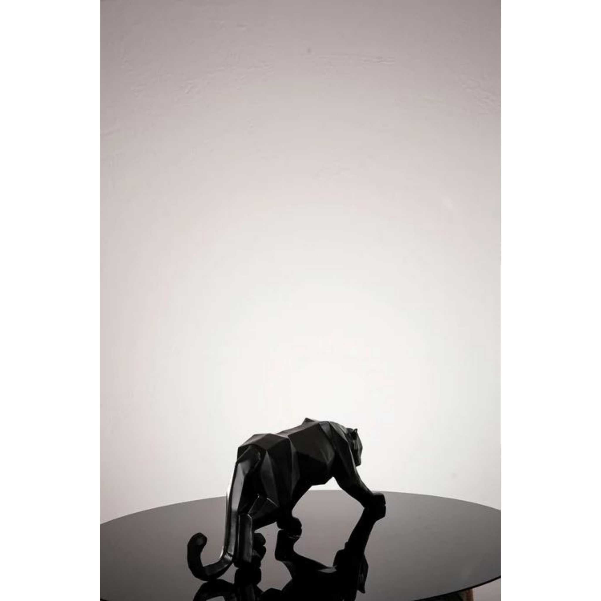 Tiger Series & Set of 2