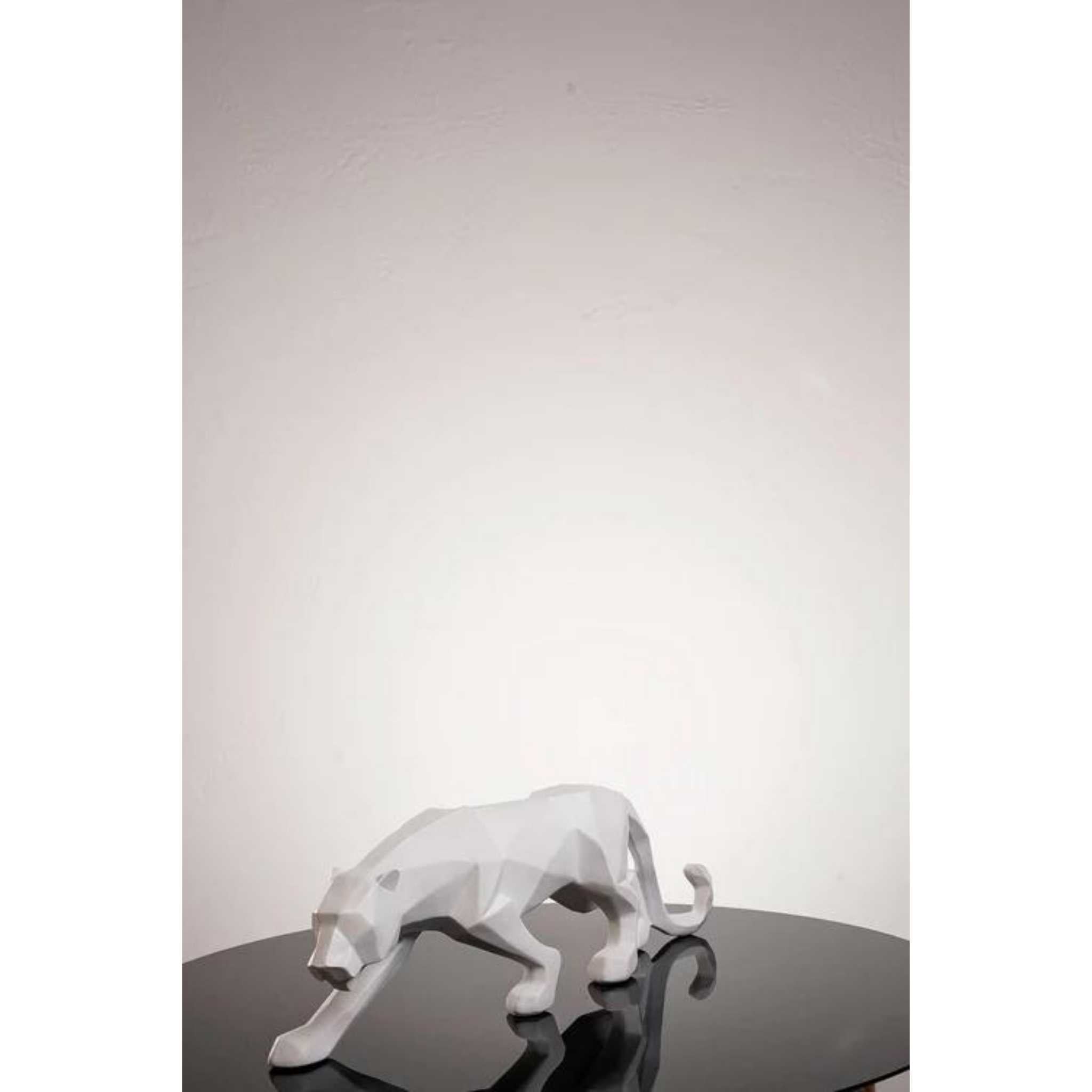 Tiger Series & Set of 2