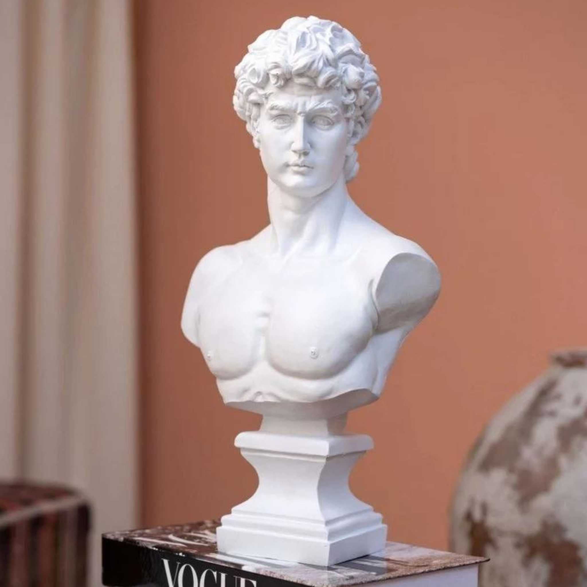 Michelangelo’s David Bust