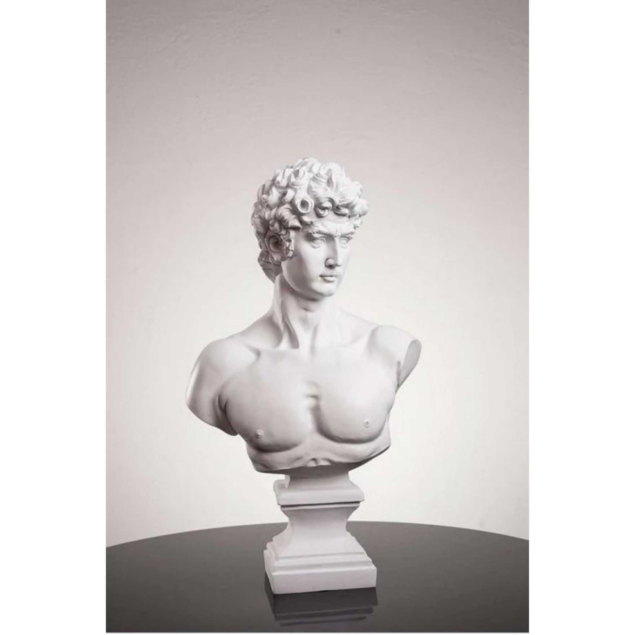 bust of david statue