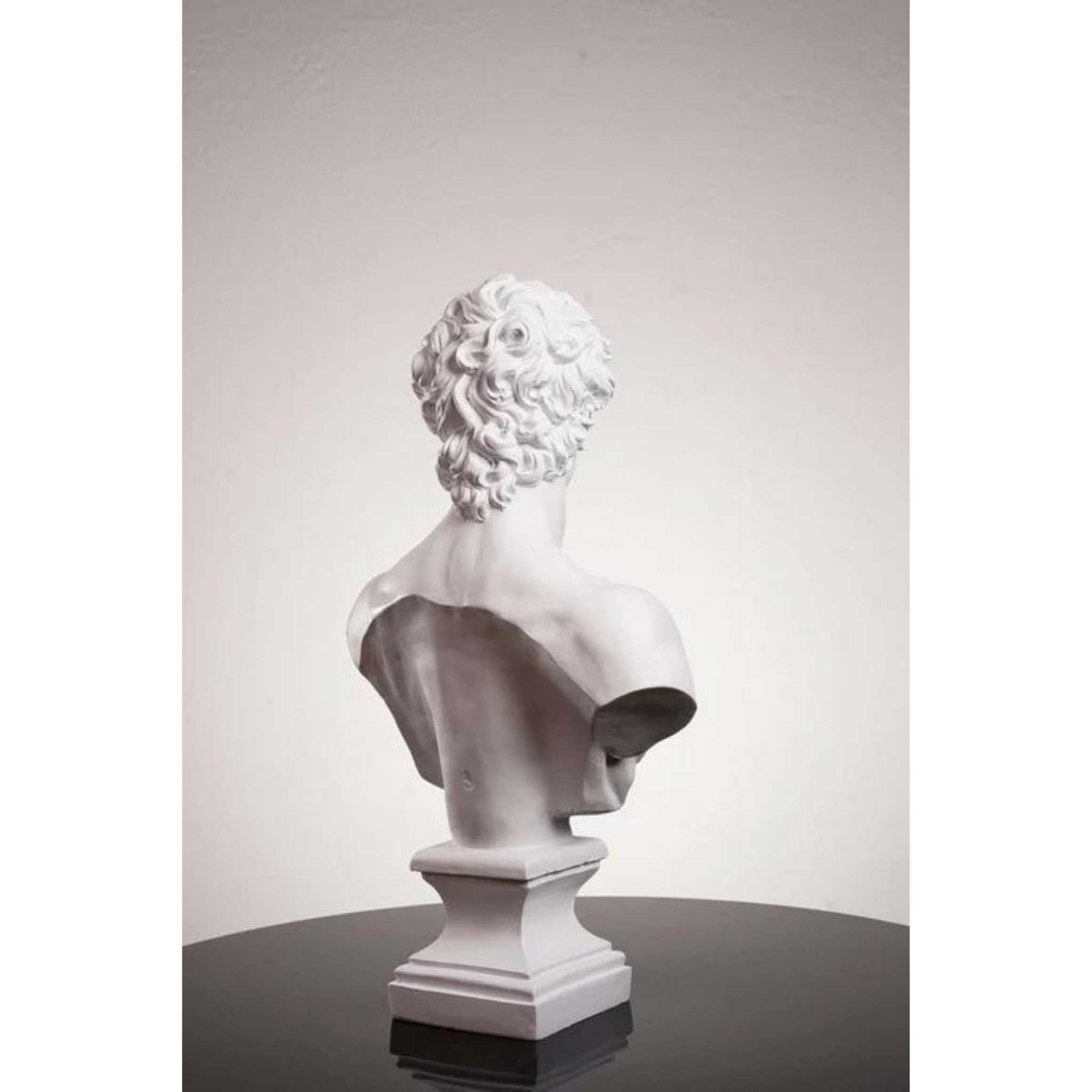 Michelangelo’s David Bust