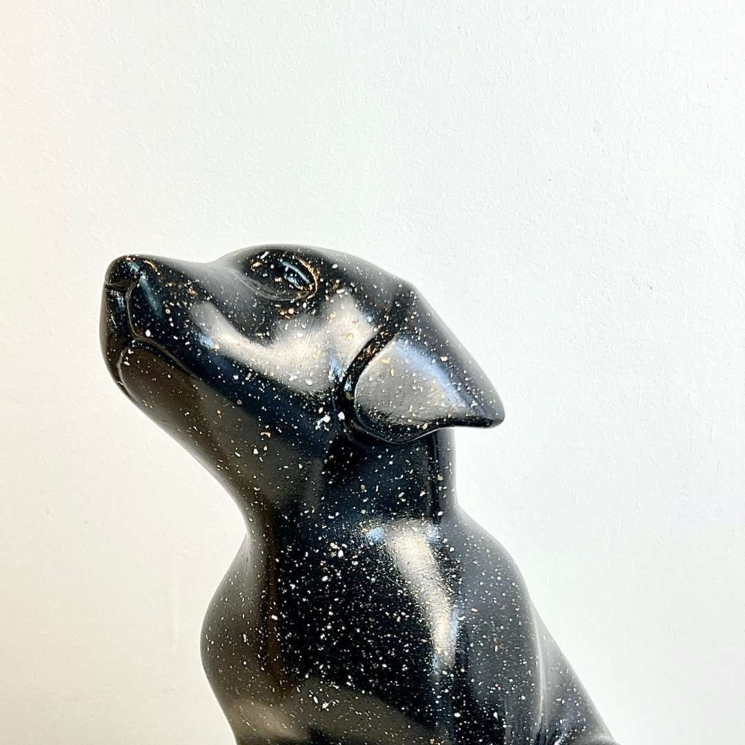 Cosmic Pup