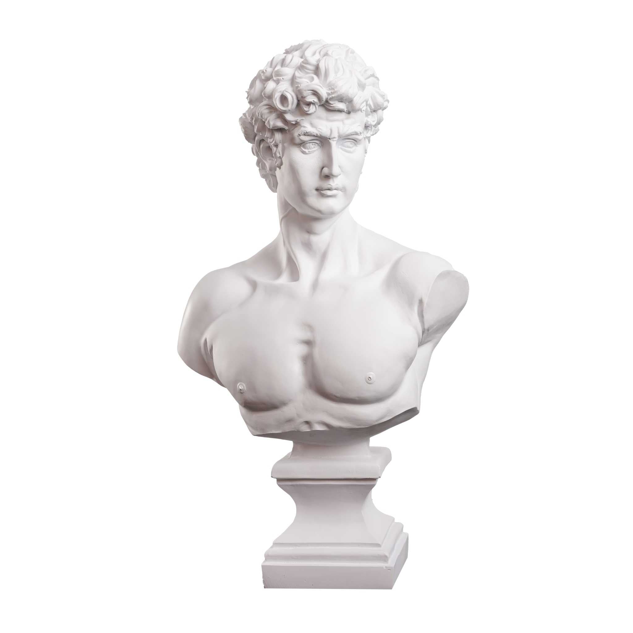 david bust