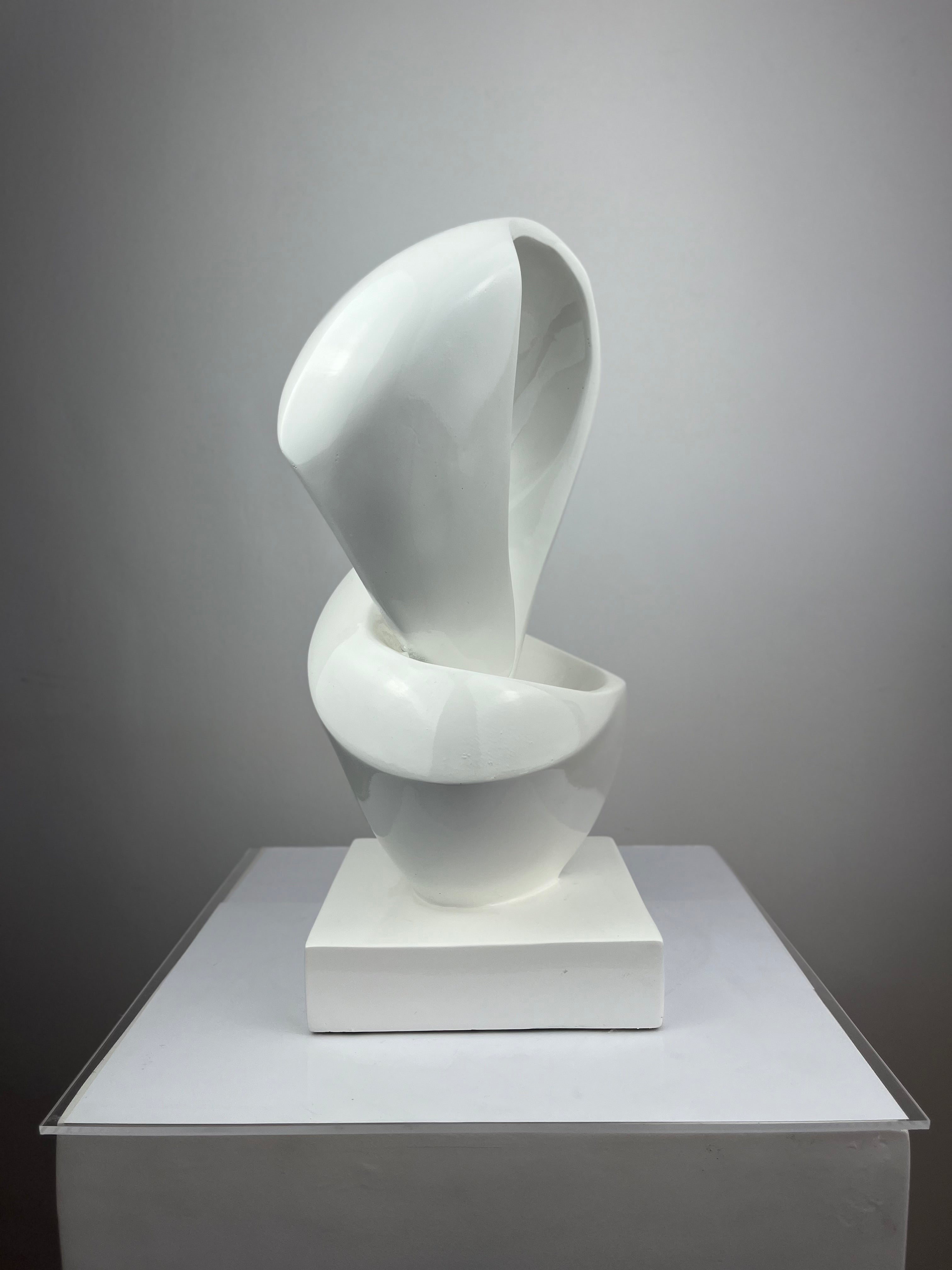 Fluid Elegance