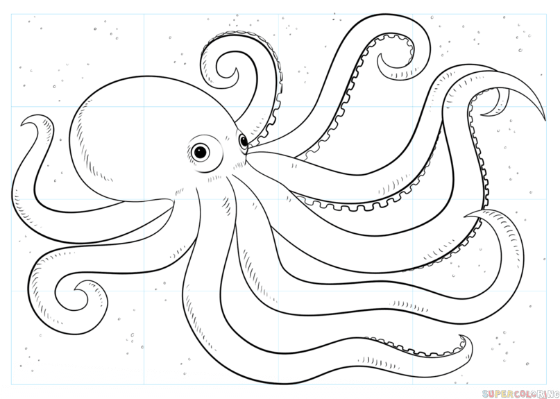 Master the Art of Octopus Drawing: A Step-by-Step Guide for Beginners