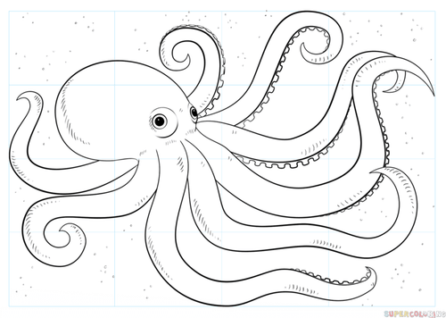 Mastering Octopus Drawing: Step-by-Step Guide for Beginners