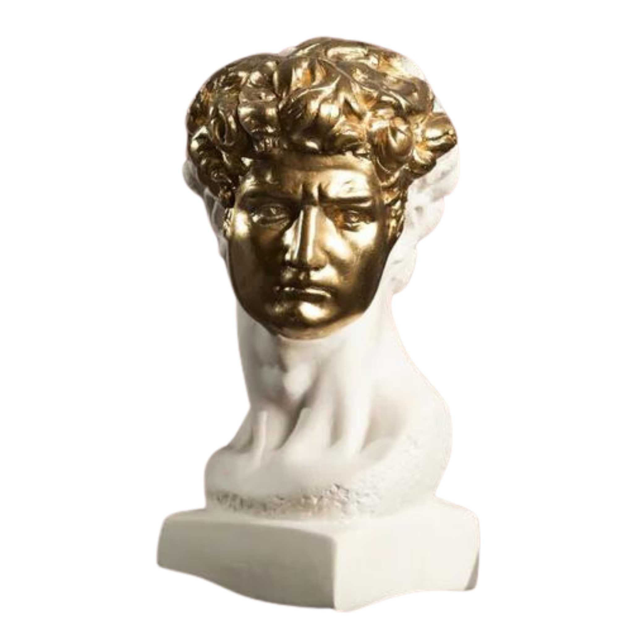 Golden Glory: The David with Mask
