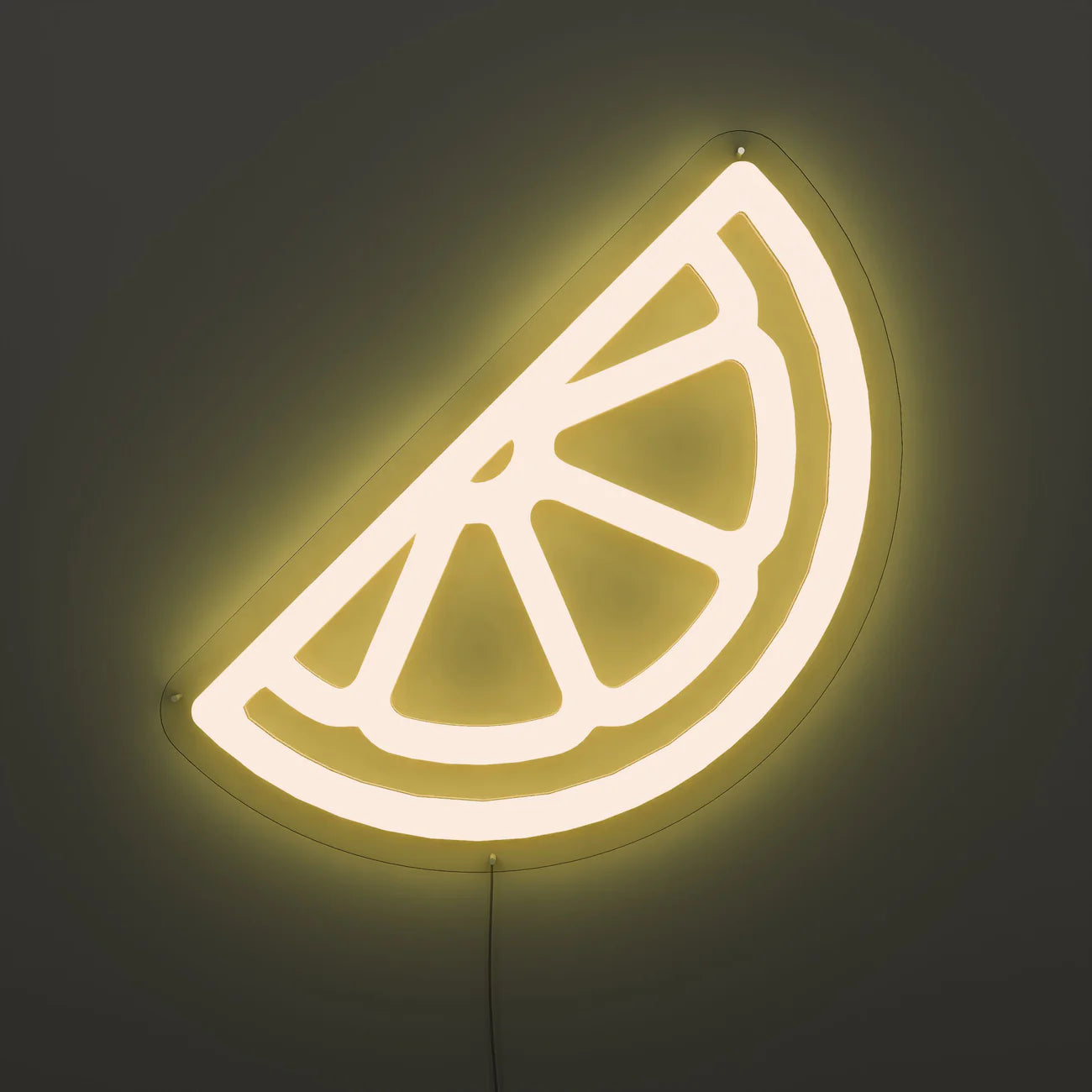 Citrus Glow Neon Sign