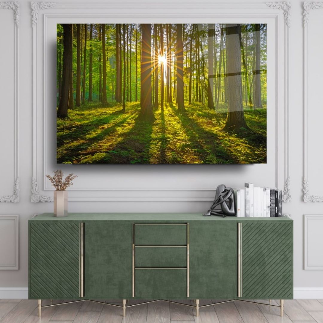 Sunlit Forest Glass Wall Art