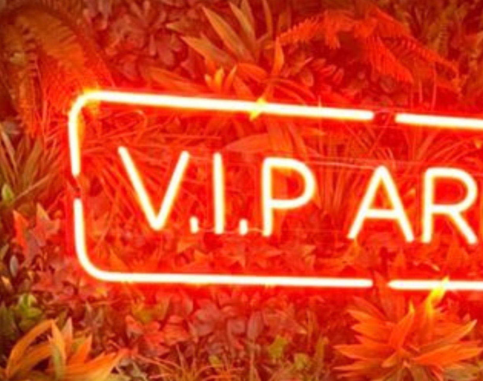 VIP Area Neon Outdoor Sign