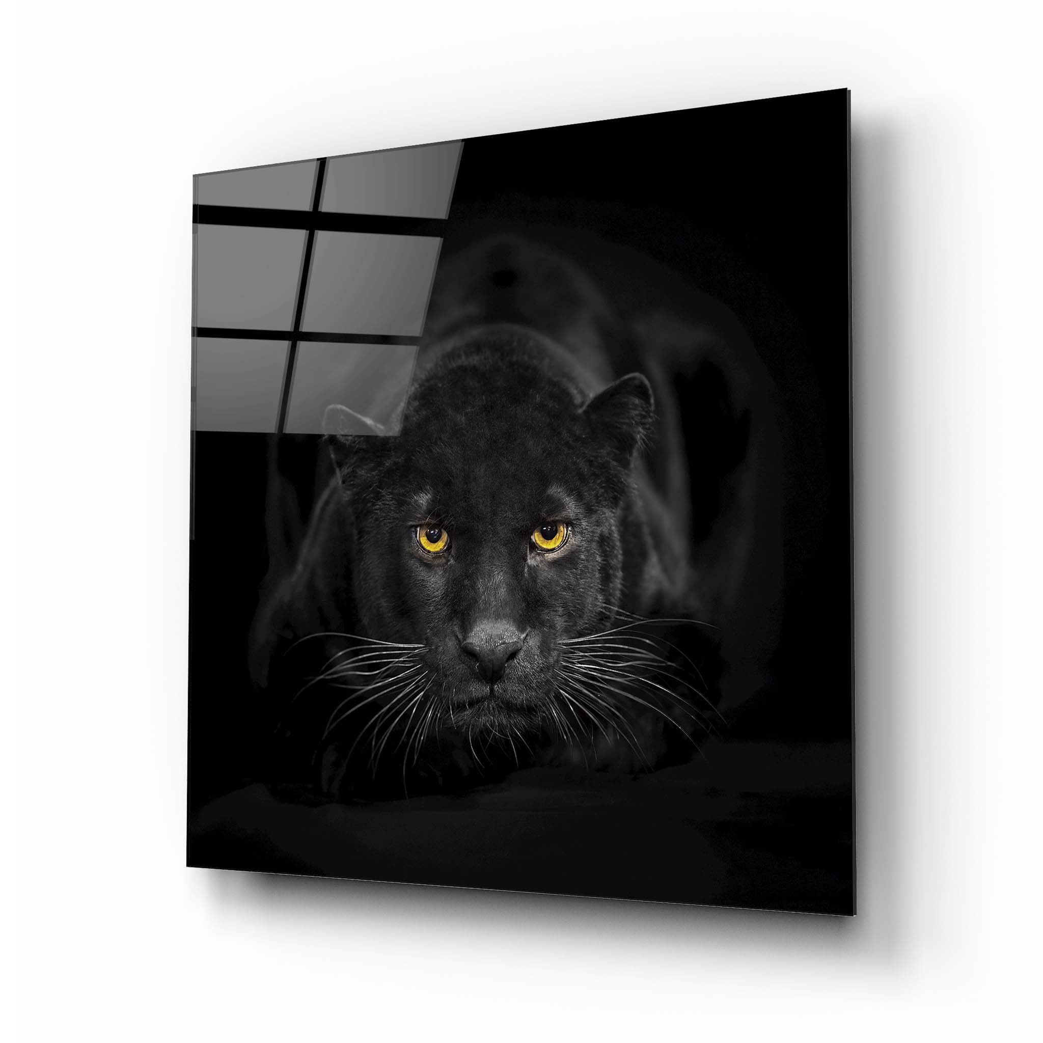 Buy Panther Glass Wall Art | Artchi