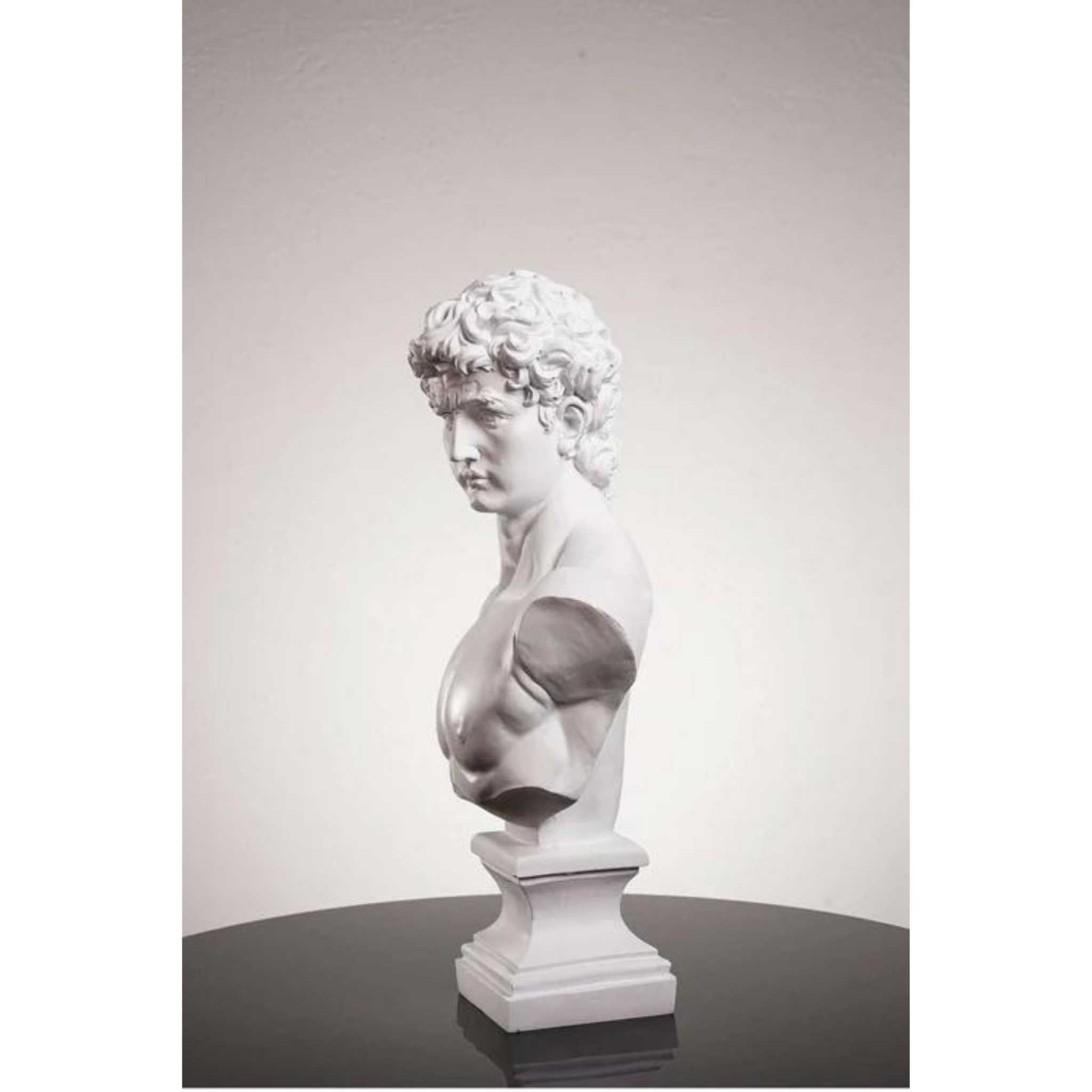 Buy Michelangelo's David Bust