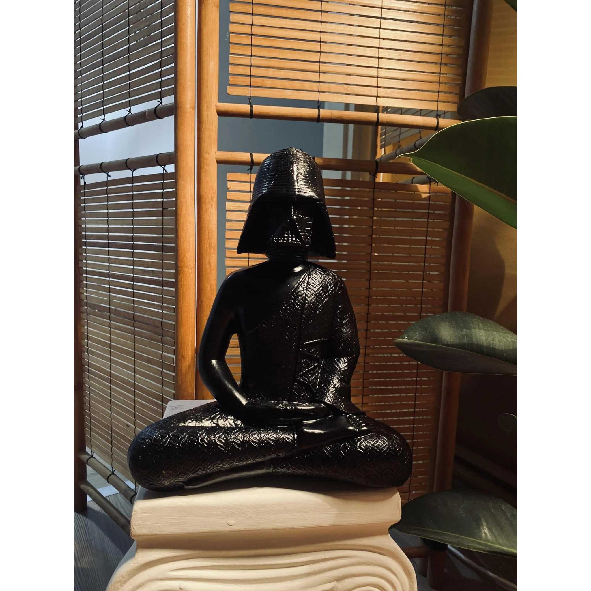Darth Vader in Meditation