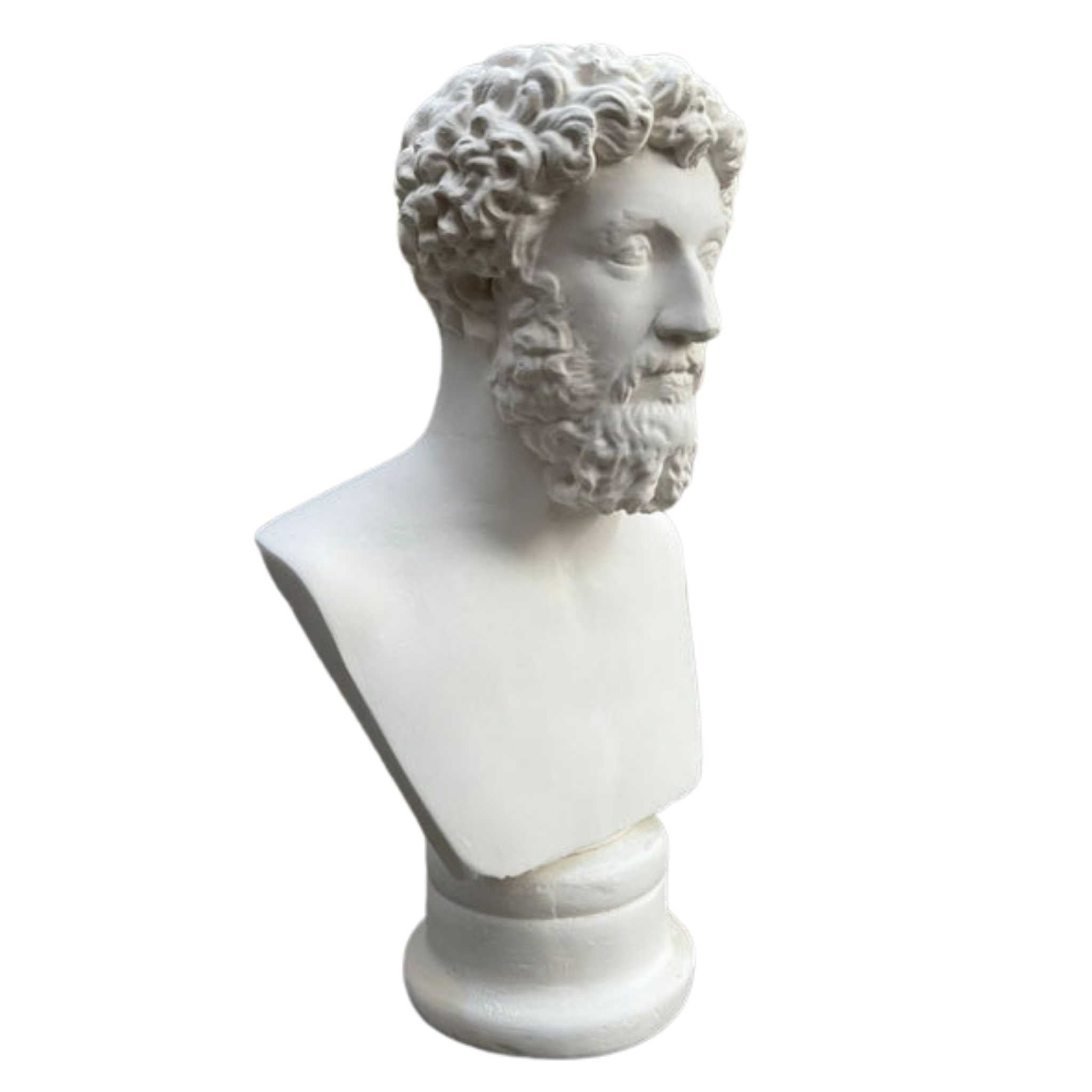 Aurelius Bust