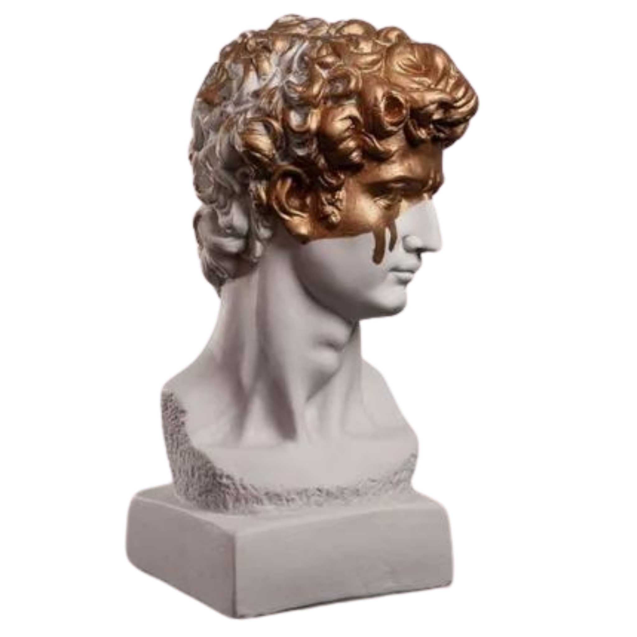 Buy Classic David Sculptures: Timeless Art | The Artchi