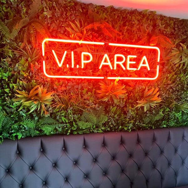 VIP Area Neon Outdoor Sign