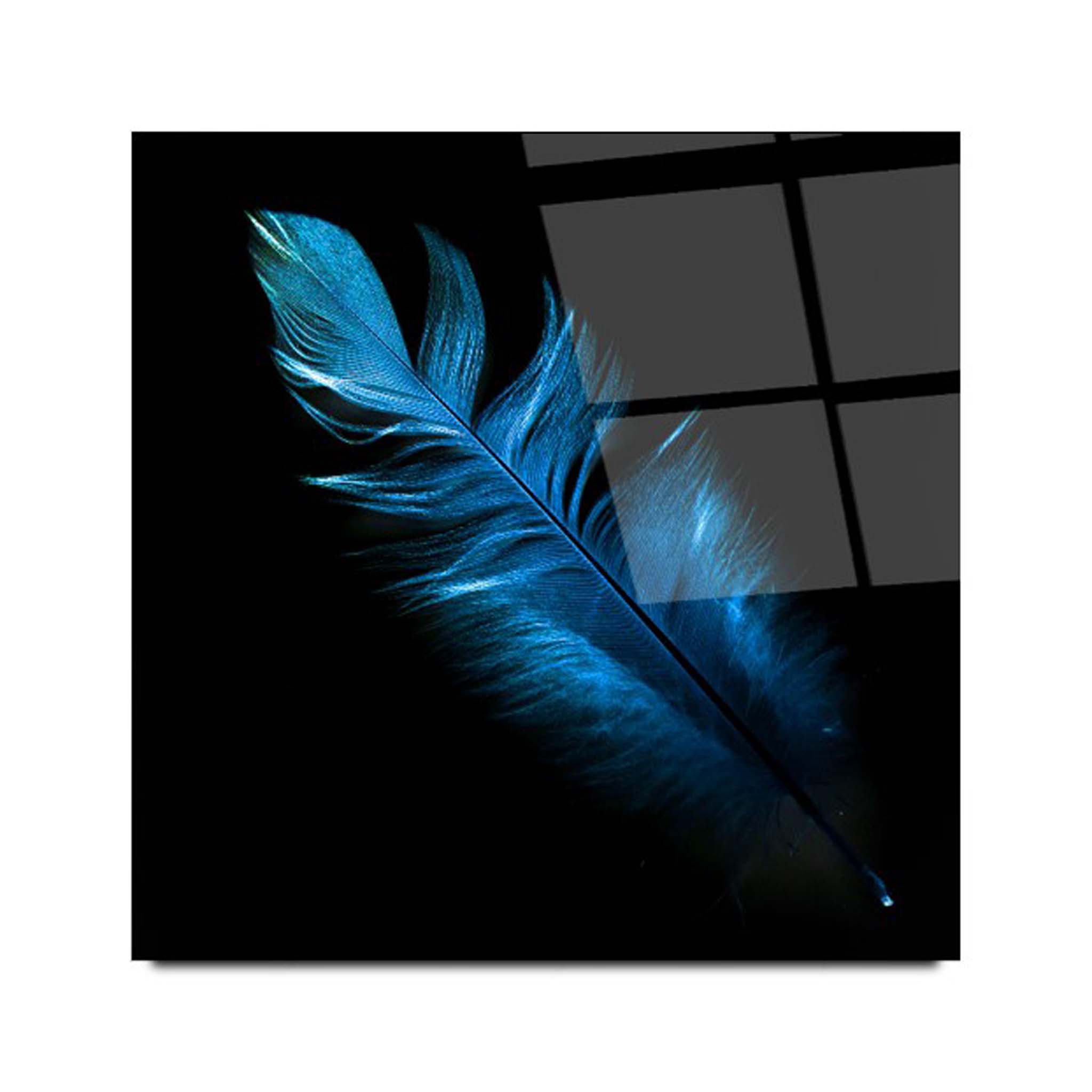 feather glass wall art