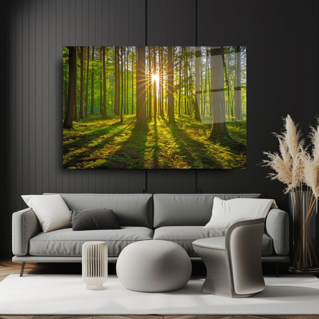 Sunlit Forest Glass Wall Art