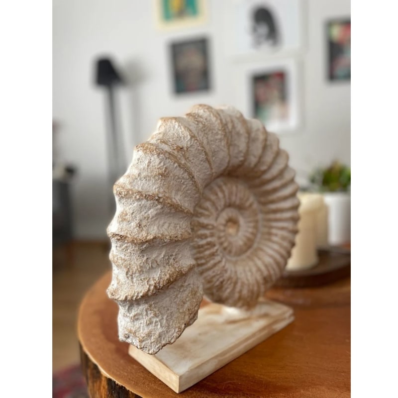 Shell Design Sculpture