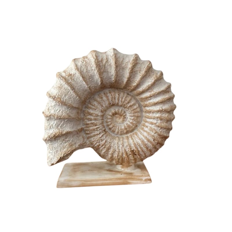 Shell Design Sculpture