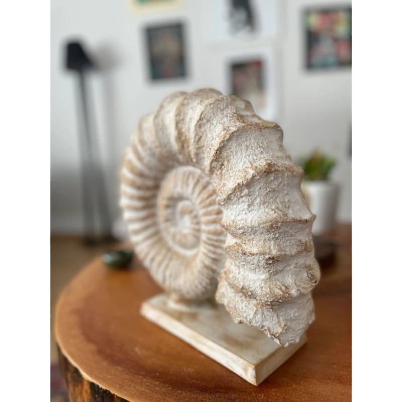 Shell Design Sculpture