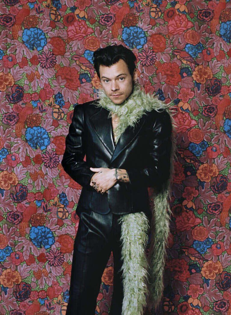 Live in Concert Harry Styles Poster