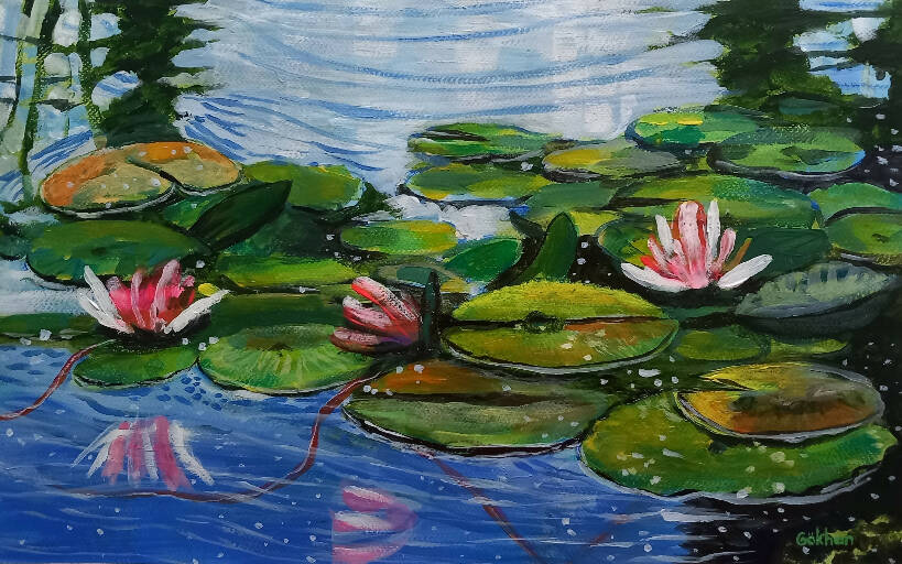 sparkling pink water lilies