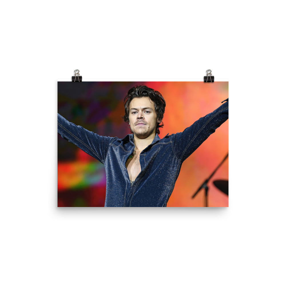 Vintage Vibe Harry Styles Poster