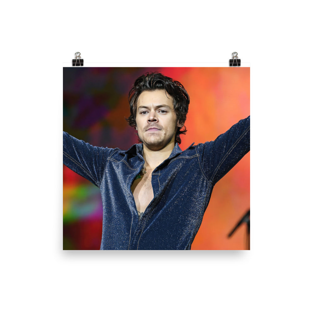 Vintage Vibe Harry Styles Poster