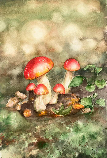 Crimson Fungus: A Watercolor Delight